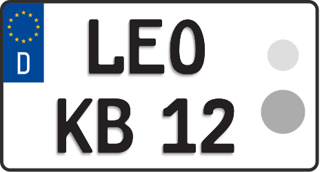 LEO