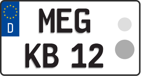 MEG