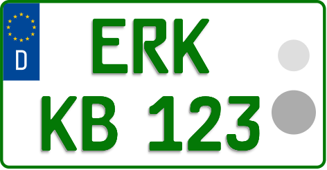 ERK