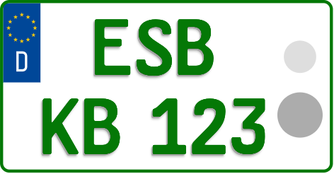 ESB