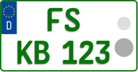 FS