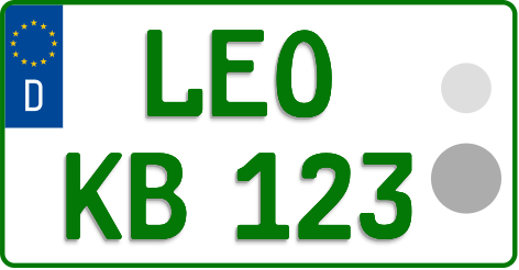 LEO
