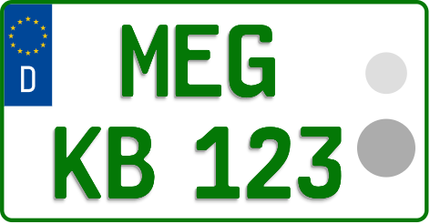 MEG