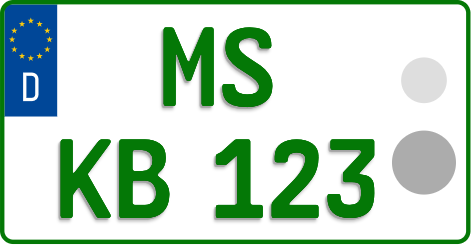 MS