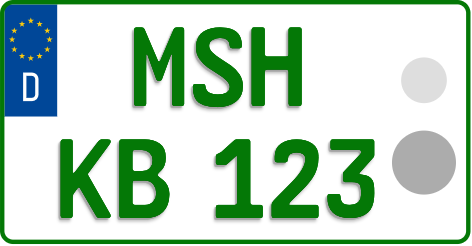 MSH