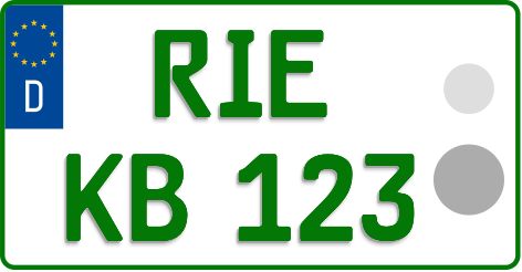 RIE