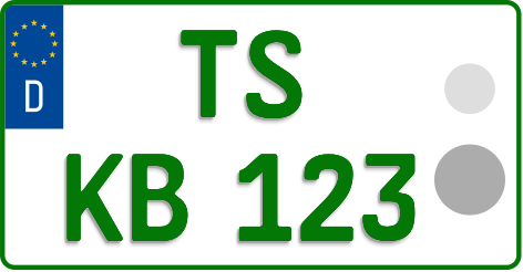 TS