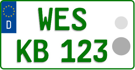 WES