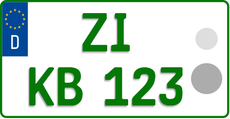 ZI